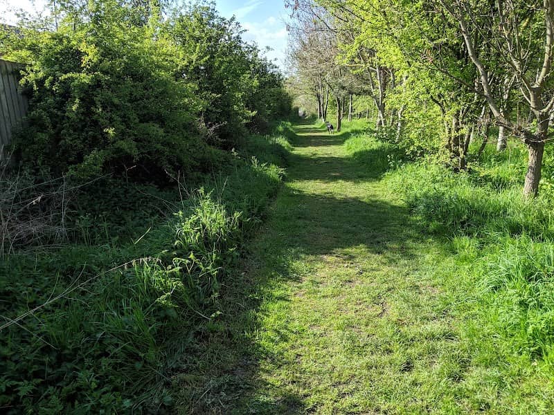 Maelor's Wood - Image 1
