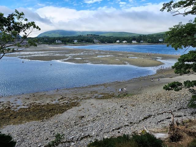 Bar Island - Image 2