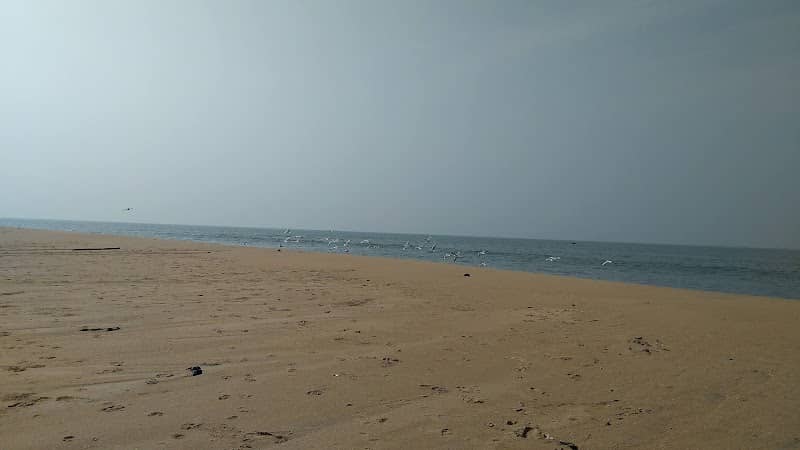 Aadikadalayi beach - Image 1