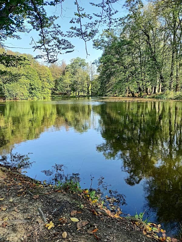 Three Lakes - Image 1