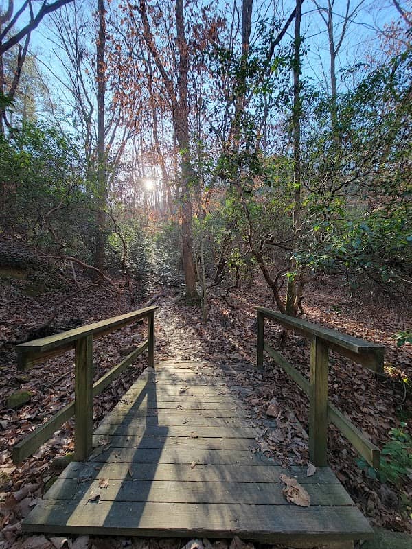 Pine Mountain Trail, Spur 20 Parking & Trailhead - Image 2