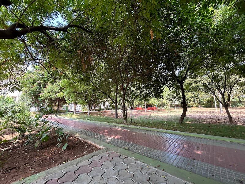 Dev park - Image 1