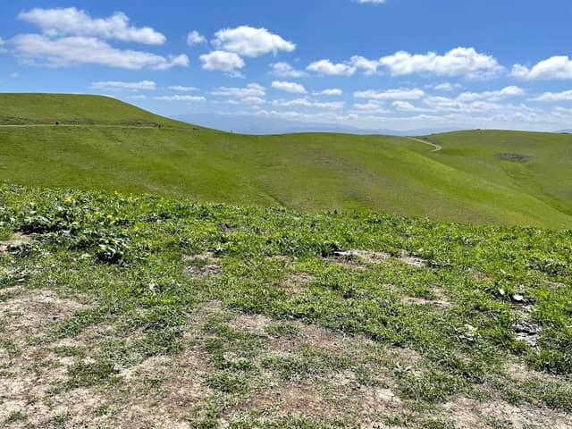 Tassajara Ridge Staging Area - Image 1