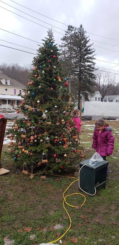 Noxen Christmas Tree - Image 1