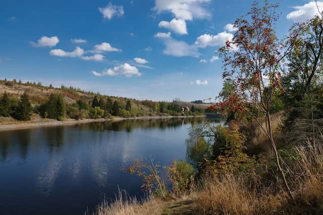 Talsperre Königshütte - Image 1