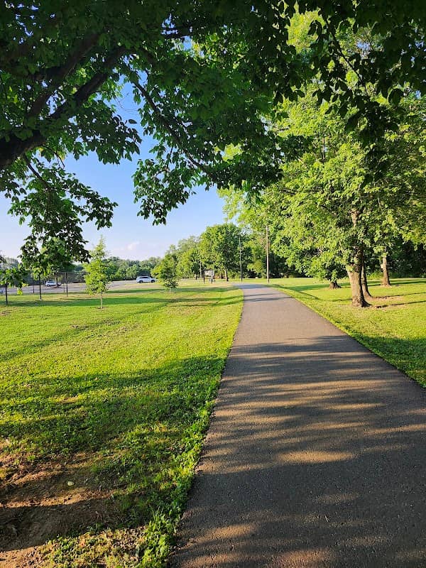 Yellow Park - Image 2
