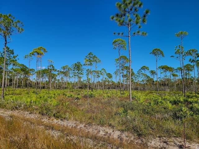 St. Joseph Bay State Buffer Preserve Visitor Center - Image 2