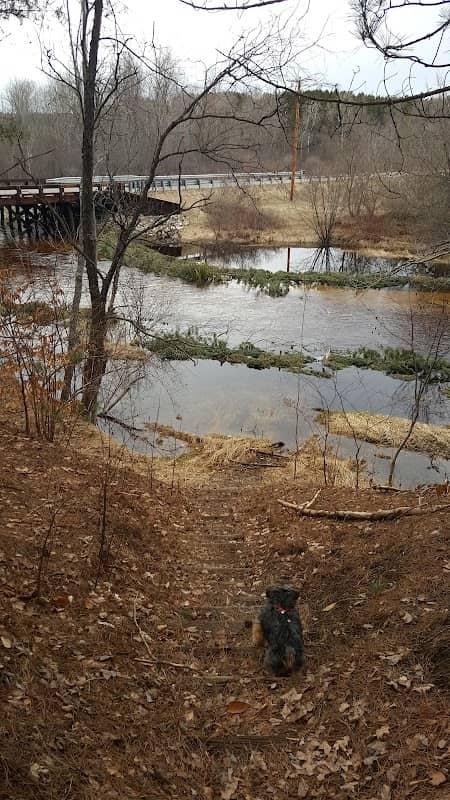 Philip J. Braun Nature Preserve - Image 2
