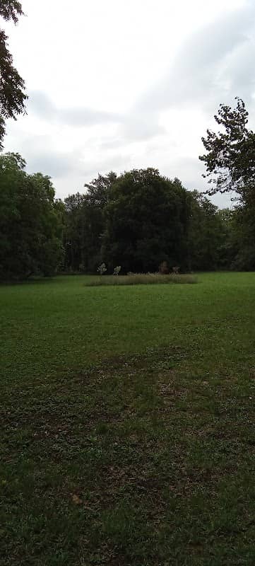 Parco pubblico maria montessori - Image 1