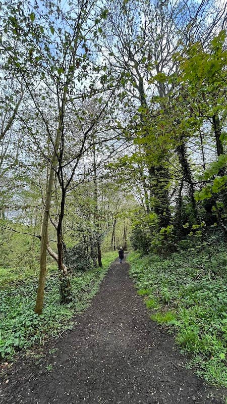 Sots Hole Nature Reserve - Image 1