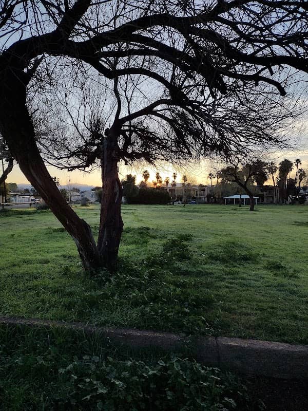 Dean Hackett park - Image 1