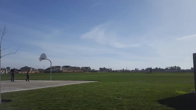 Palmer Memorial Park - Image 2
