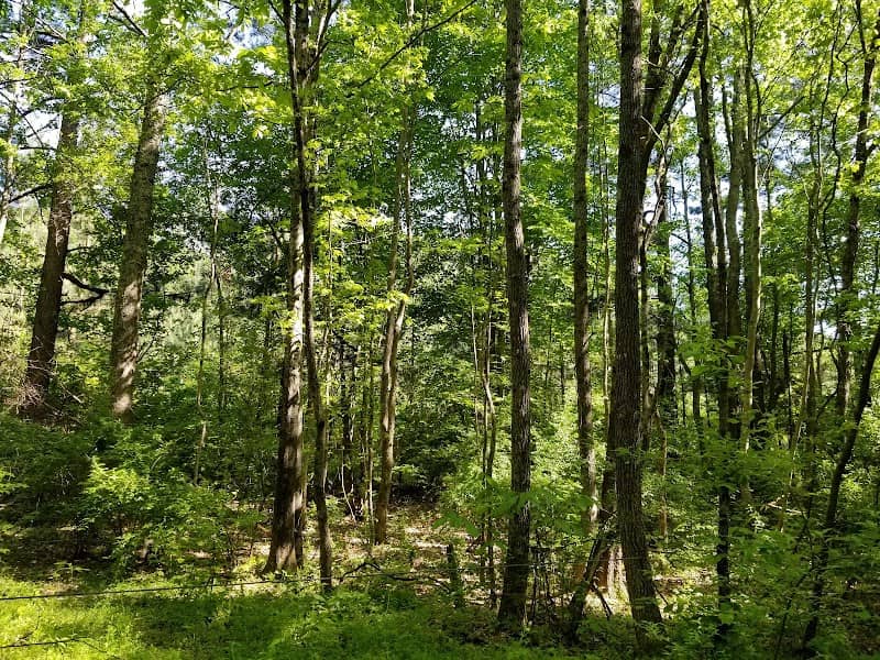 Buckeye Cove Nature Preserve - Image 2