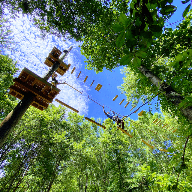 Canopy Adventure Park - Image 2