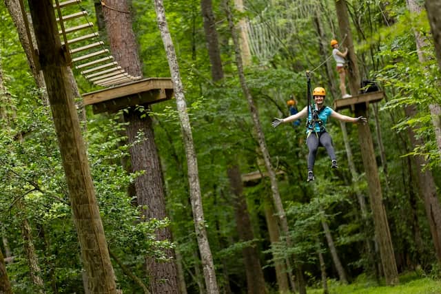 Canopy Adventure Park - Image 1