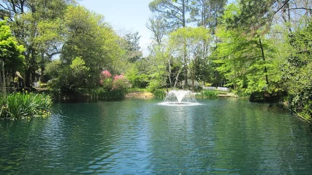 Mynelle Gardens Arboretum & Botanical Center - Image 2