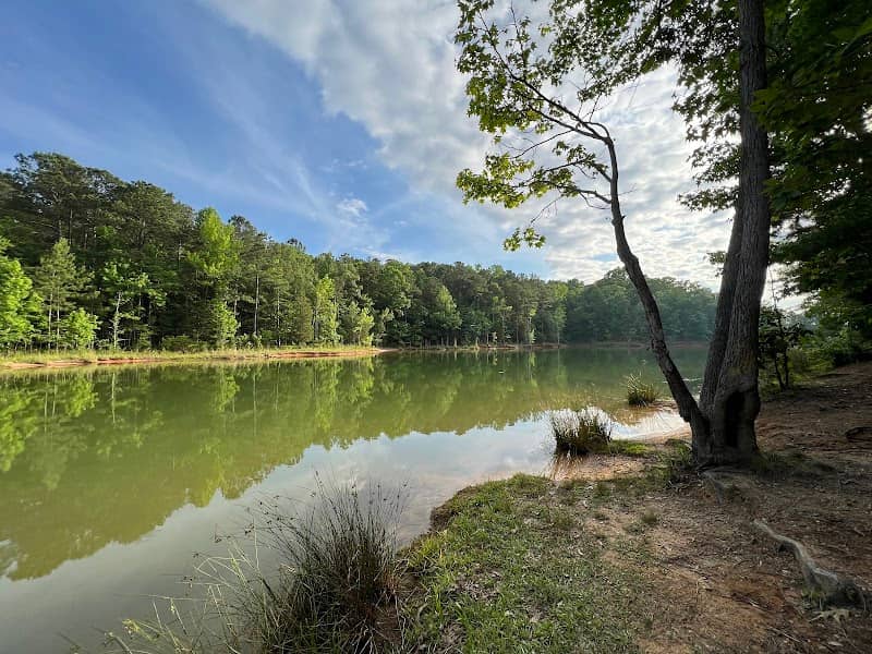 Calhoun Falls State Park - Image 1