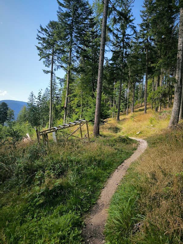 Singletrack Glacensis Pętla Rudka - Image 1