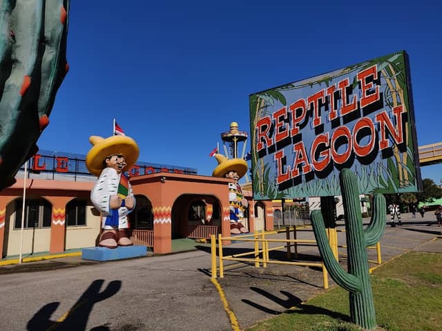 Reptile Lagoon - Image 2