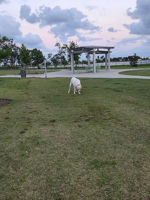 Hackberry Dog Park - Image 1