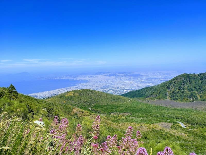 Vesuvius National Park - Image 3
