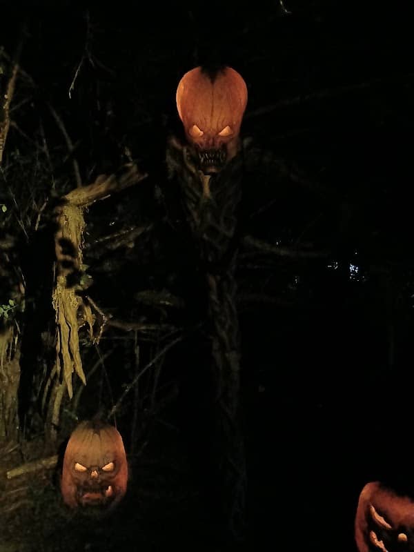 Styx and Bones haunted forest - Image 1