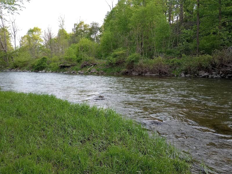 Chittenango Creek Walk - Image 1