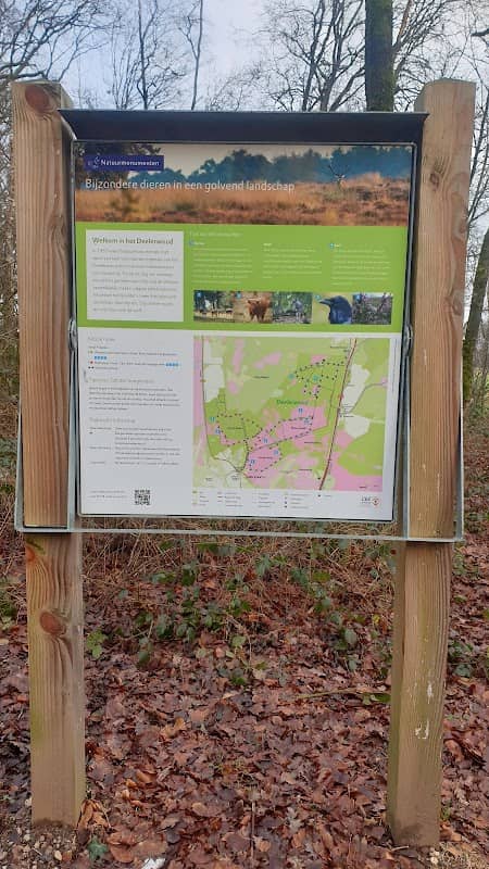 Deelerwoud - Image 2
