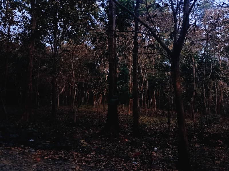Sukna Wild life - Image 1