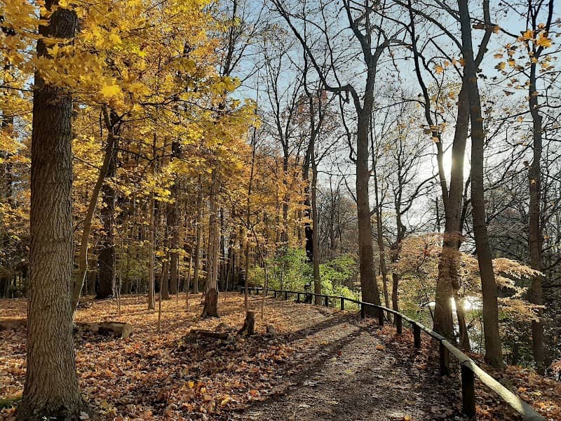 Jeffrey Park - Image 2