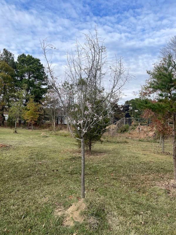 Jolly Branch Park - Image 1