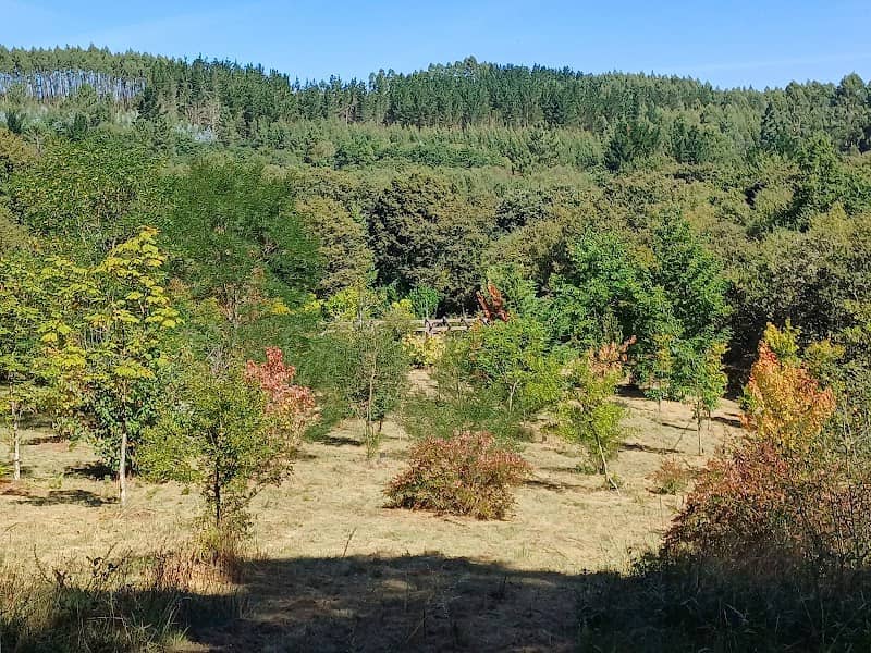 ARBORETUM DE GALICIA - Image 1