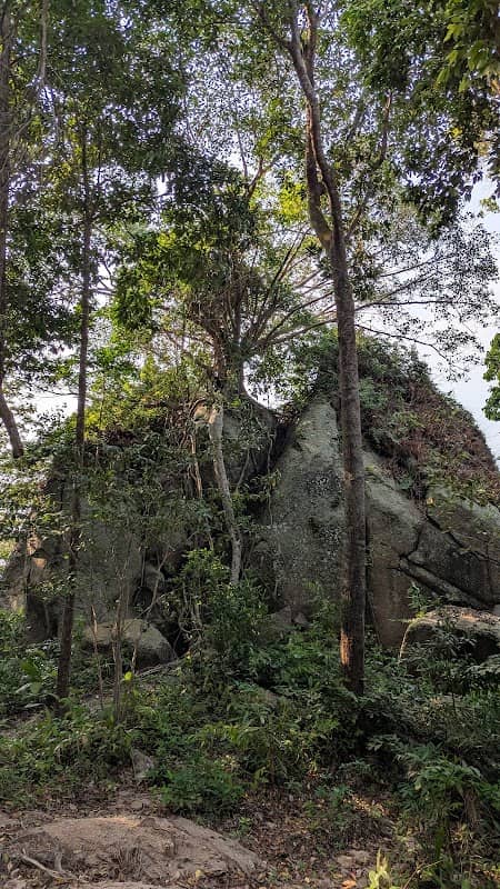 Wooden Rock Viewpoint - Image 1