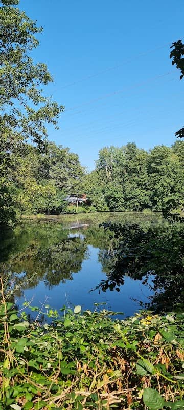 Grüner See Mühlheim - Image 1