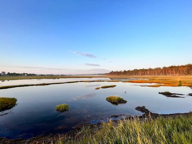 Wells National Estuarine Research Reserve - Image 3