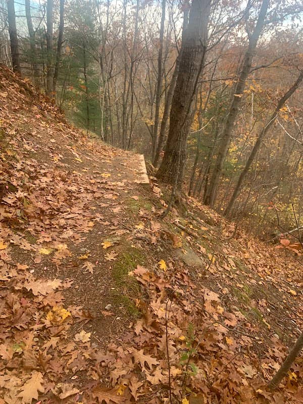 Trout Brook Nature Area - Image 1