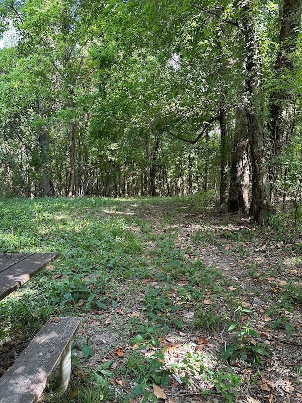Birdwatchers Trail - Image 1