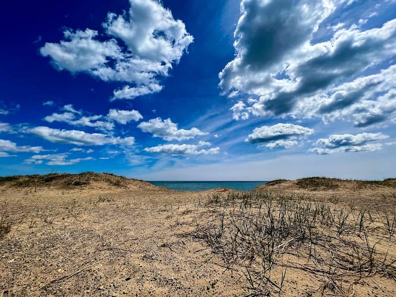 Kenosha Sand Dunes - Image 1