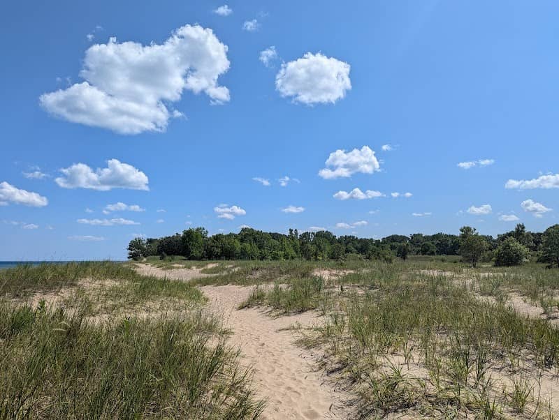 Kenosha Sand Dunes - Image 2