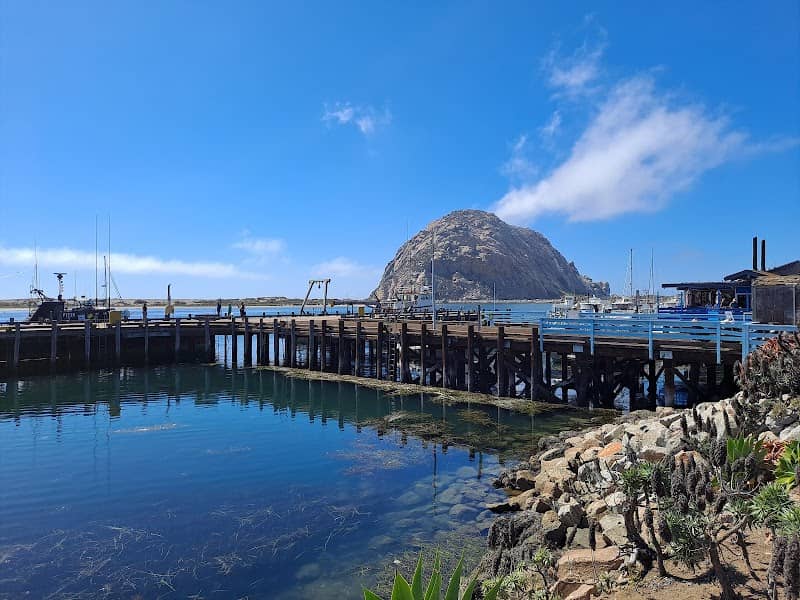 Morro Bay T Pier (Otter Viewing Area) - Image 1