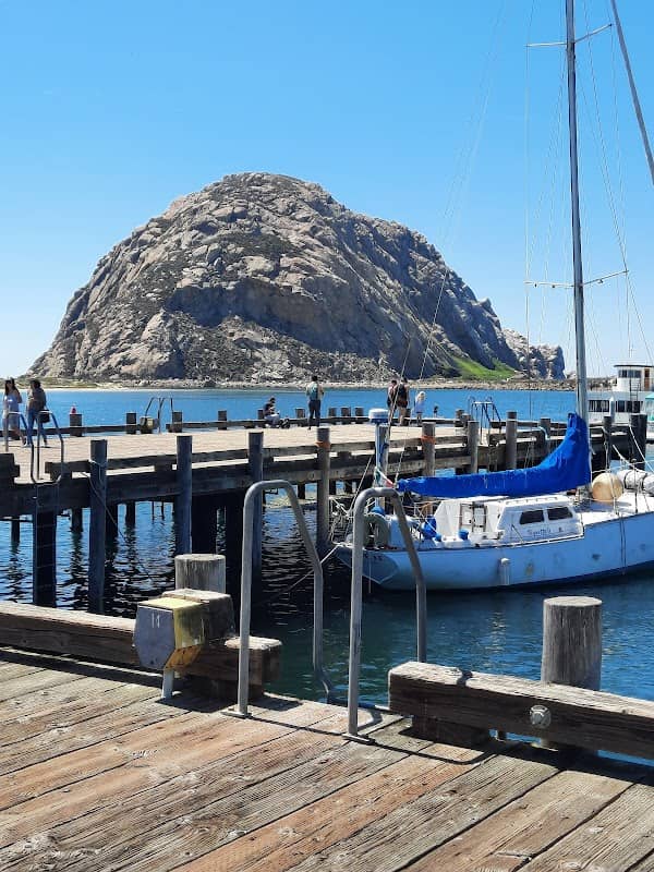 Morro Bay T Pier (Otter Viewing Area) - Image 3