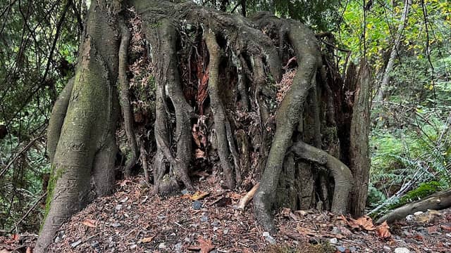 Grotto entry - Image 1