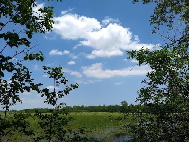 Barkhausen Waterfowl Preserve - Image 1