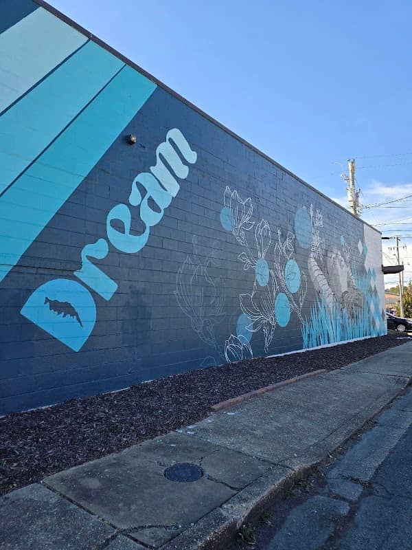 Dream Mural - Image 1