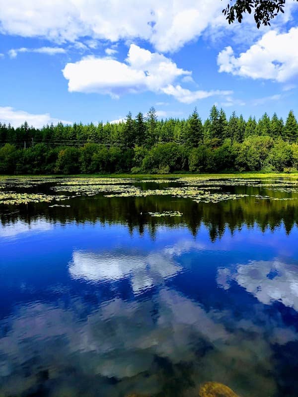 Tradition Lake - Image 1