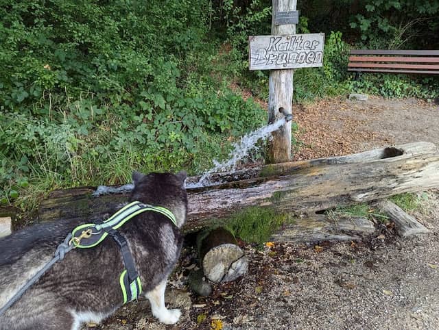 Kalter Brunnen - Image 1