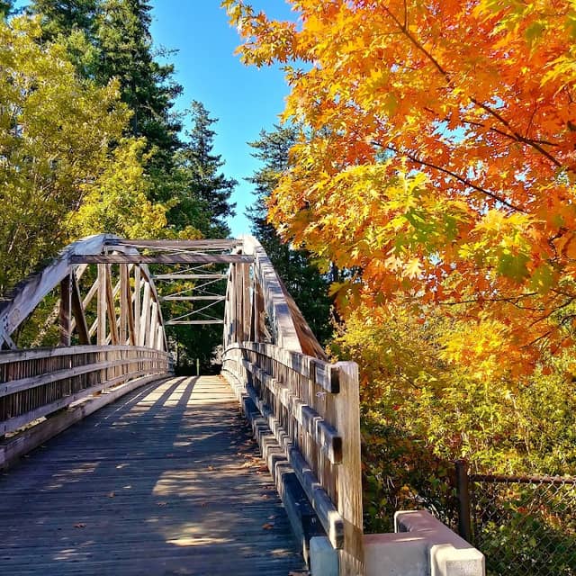 Foege Park - Image 1