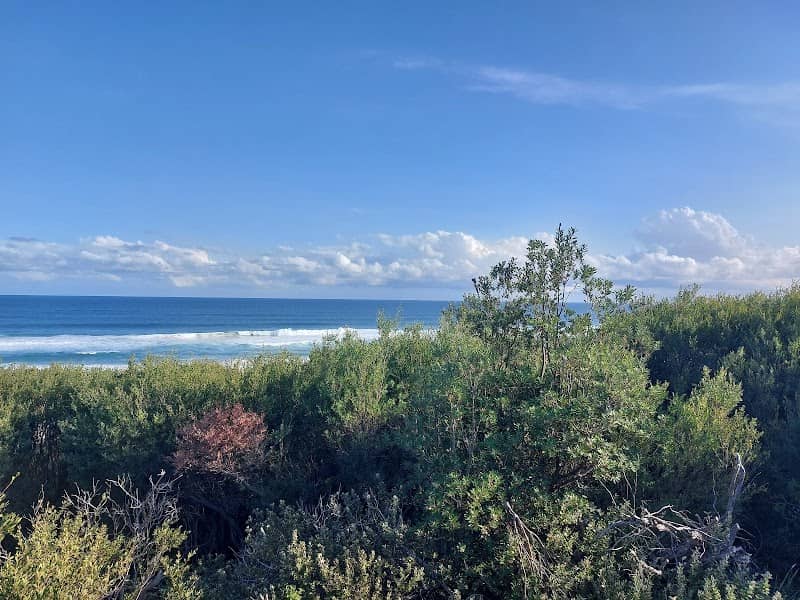 Pelican Beach Road lookout - Image 3