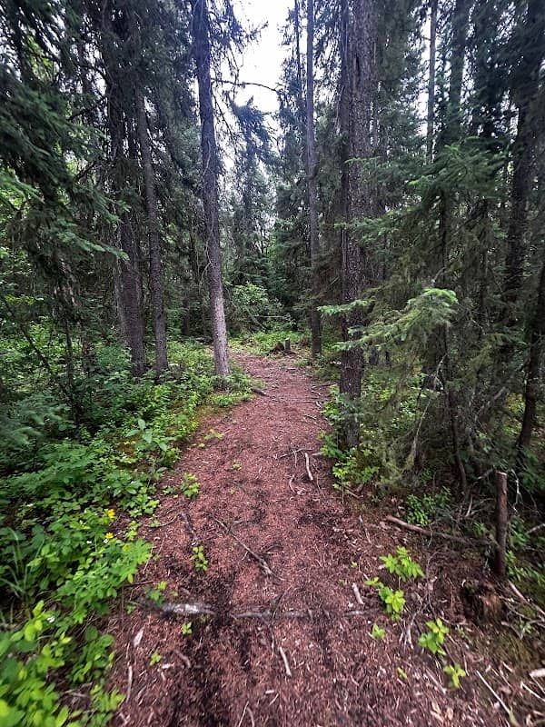 Hiking by the bridge - Image 1