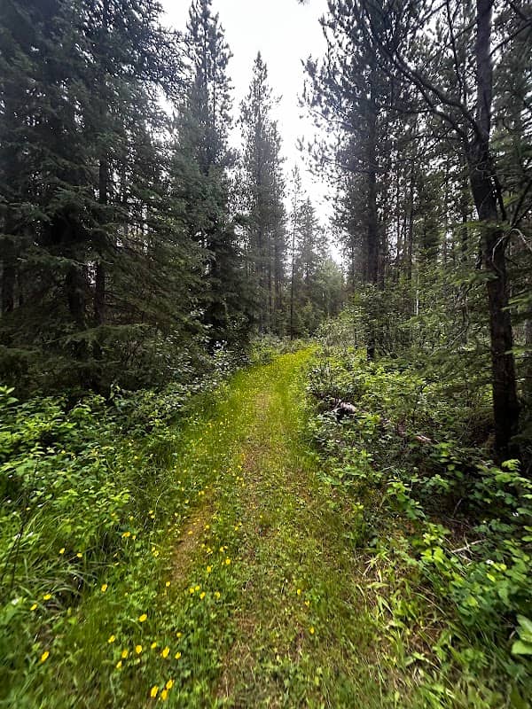 Hiking by the bridge - Image 2